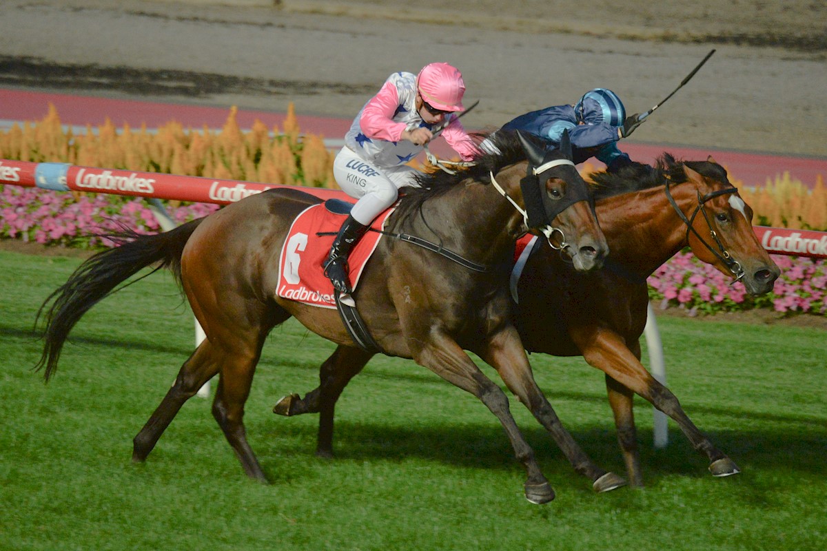 Algadon Miss winning at Moonee Valley, 8 Feb 2019